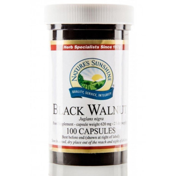 Nogal negro (Black Walnut)