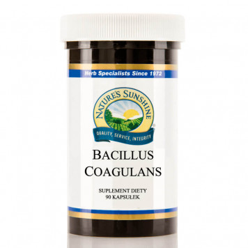 Bacillus coagulans (Bacillus coagulans) probiótico 