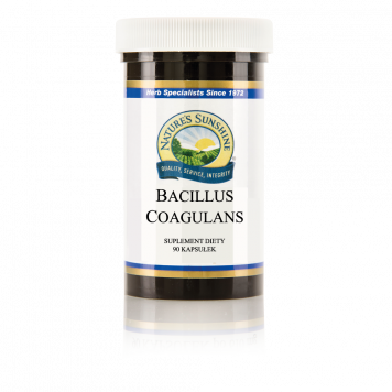 Kit Bacillus Coagulans - 4 uds.