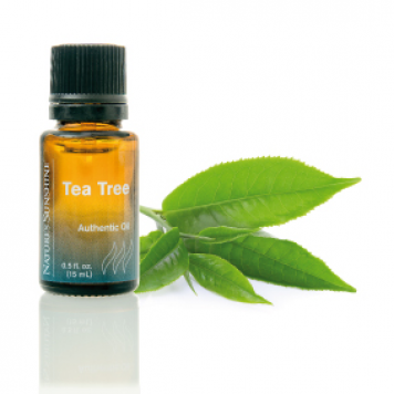Aceite esencial - Árbol del té (Tea Tree)
